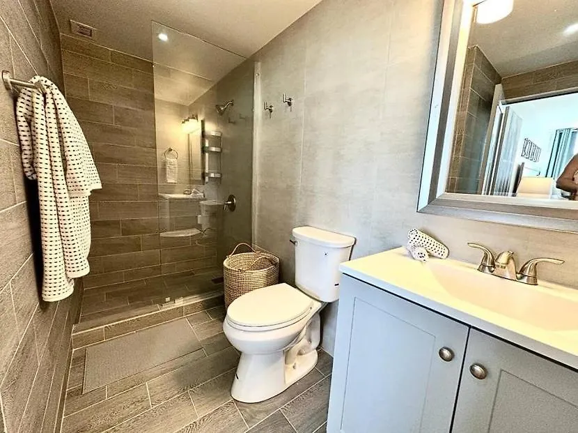 Fully Remodeled 3-Bedroom 2 Full Baths ! On Whtsapp ! Check The Number From The Photos! Condo ! San Juan Apartment